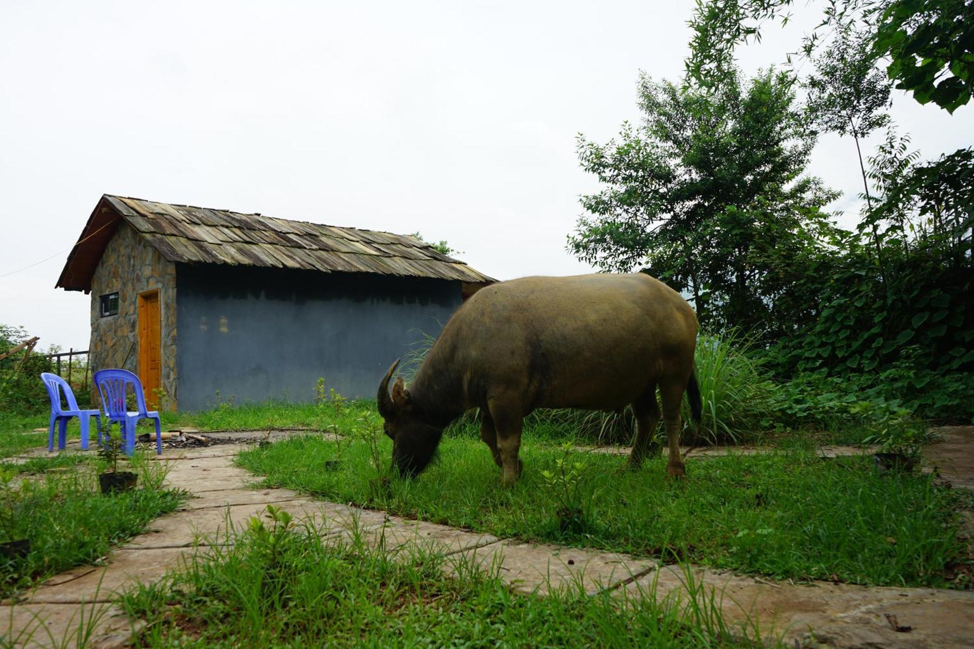 Sapa Hillcrest Homestay Lào Cai Exterior foto