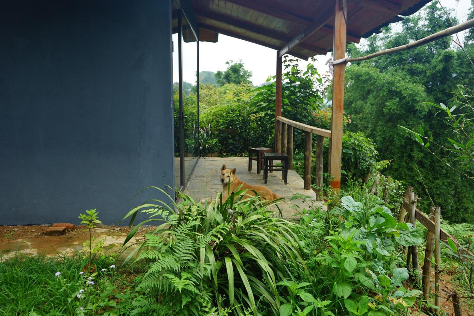 Sapa Hillcrest Homestay Lào Cai Exterior foto